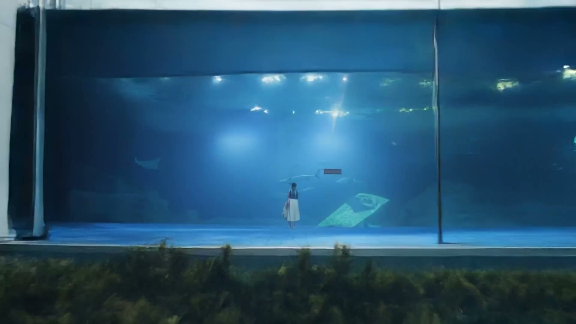 Frame from Institute of Water events wrap video